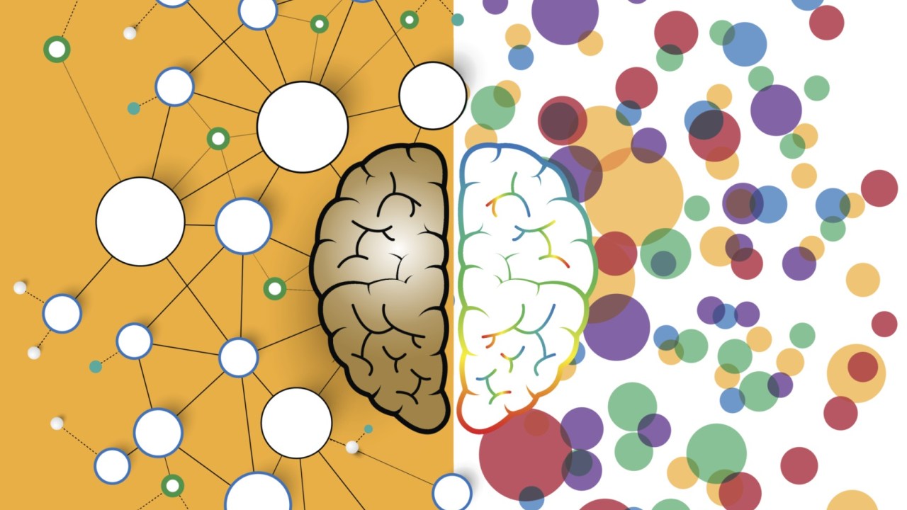 left and right brain functions concept, analytical vs creativity